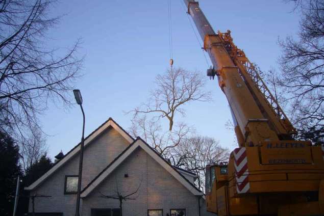 boom rooien in Oss met ketting zaag, vakmensen met verstand. tuin advies tuinontwerp boom kappen prijsindicatie